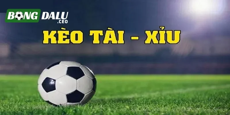 Kèo tài xỉu Bongdalu