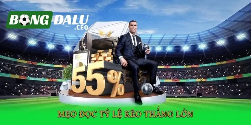 Kinh nghiệm để xuống tiền cược chuẩn xác